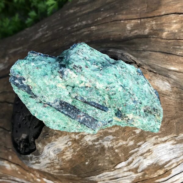 Fuchsite with Blue Kyanite