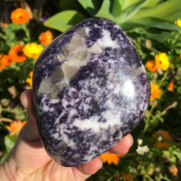 Lepidolite Freeform
