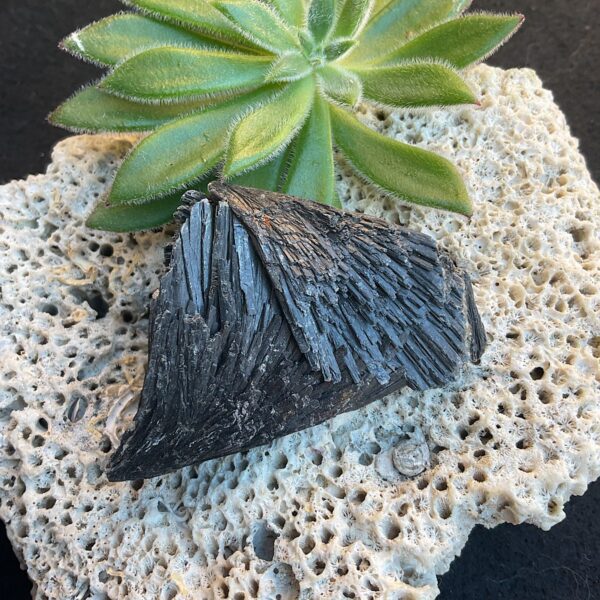 Black Kyanite Fan - Image 2