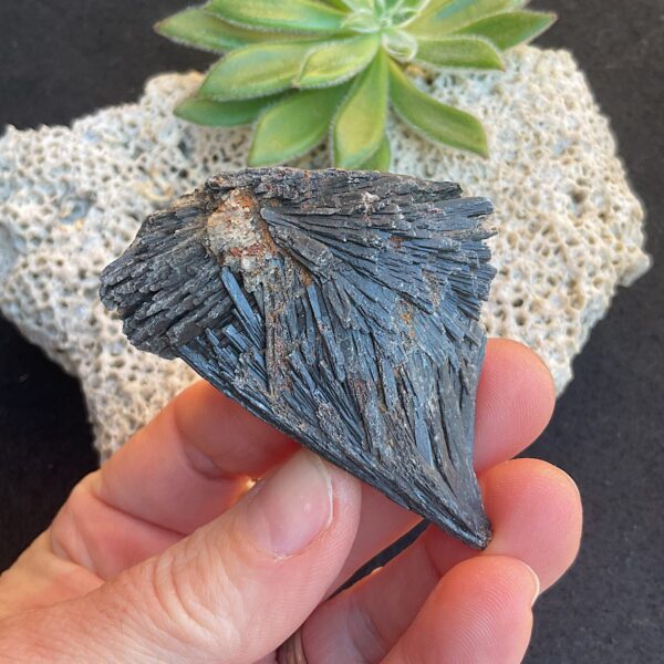 Black Kyanite Fan