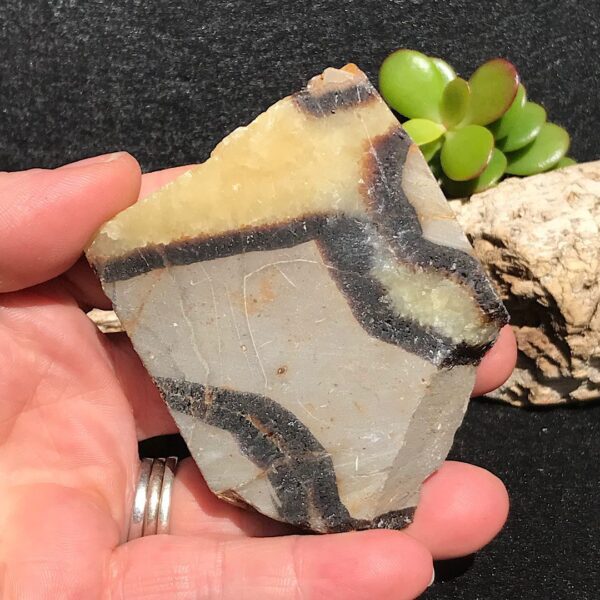 Septarian Slab - Image 2