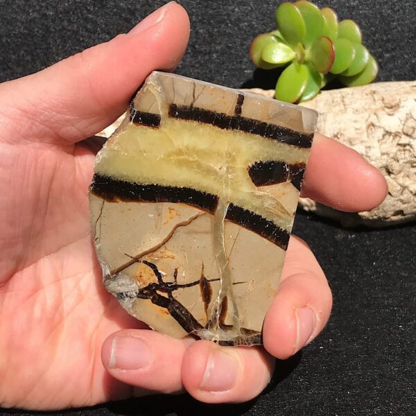 Septarian Slab - Image 2