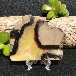 Septarian Slab