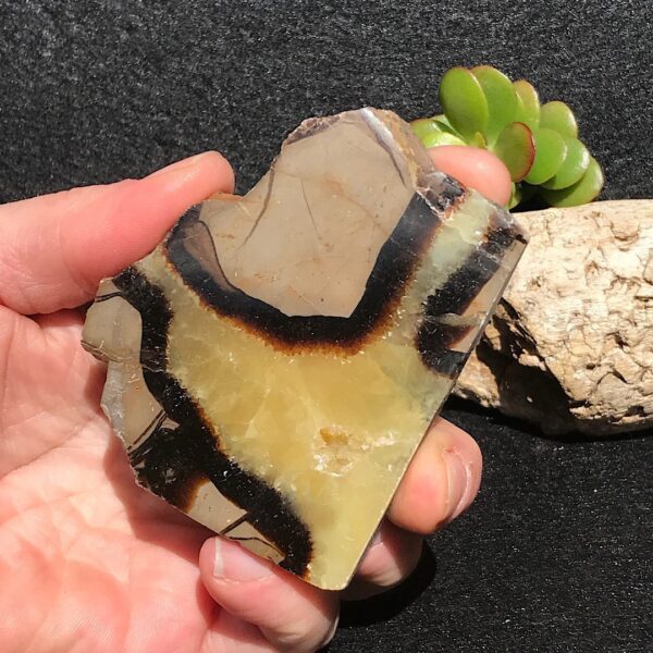 Septarian Slab - Image 2