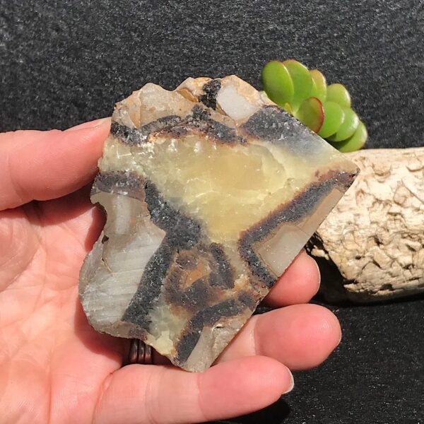 Septarian Slab - Image 3