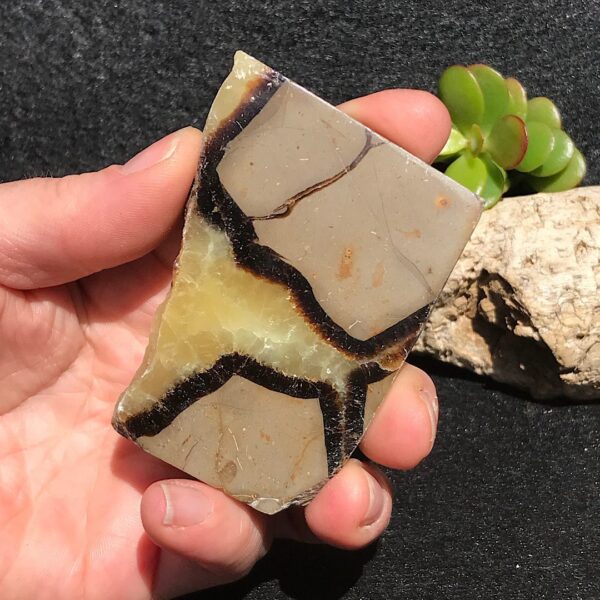 Septarian Slab - Image 3