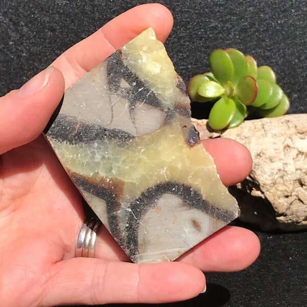 Septarian Slab - Image 2