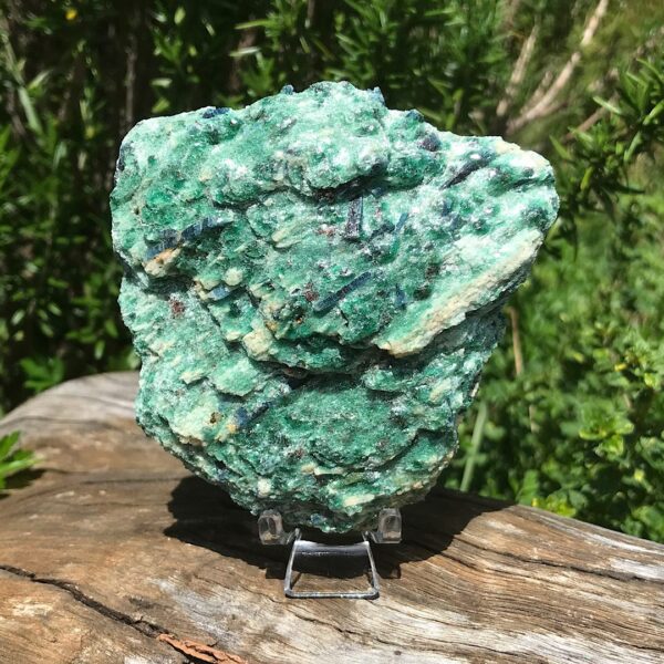 Fuchsite with Blue Kyanite