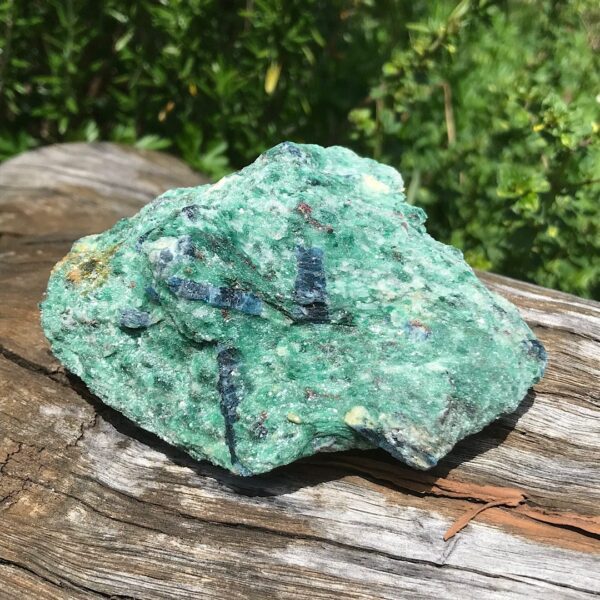 Fuchsite with Blue Kyanite