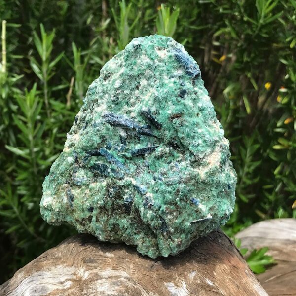 Fuchsite with Blue Kyanite