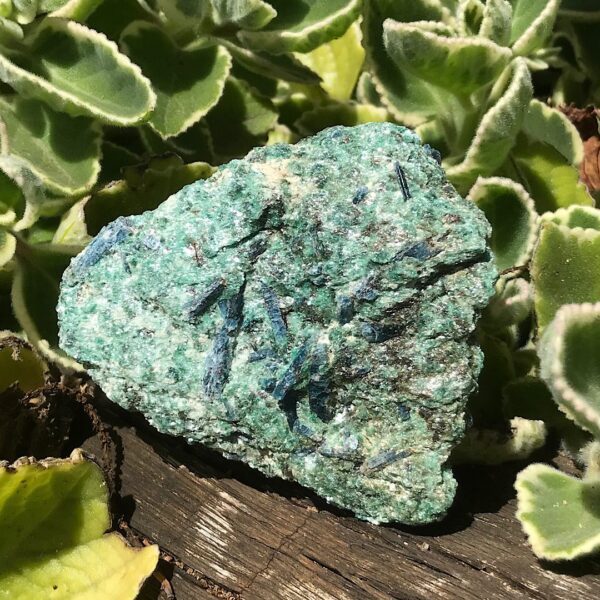 Fuchsite with Blue Kyanite - Image 3