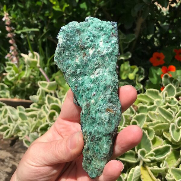 Fuchsite with Blue Kyanite - Image 3