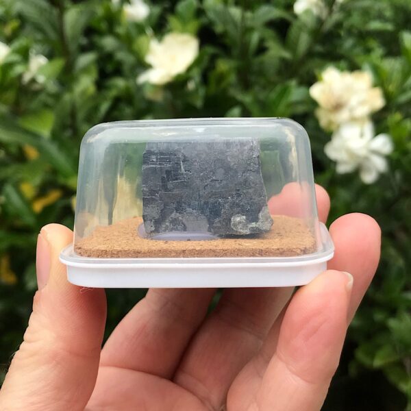 Galena Pod - Image 3