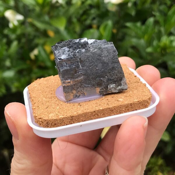 Galena Pod - Image 2