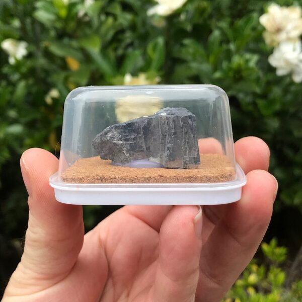 Galena Pod