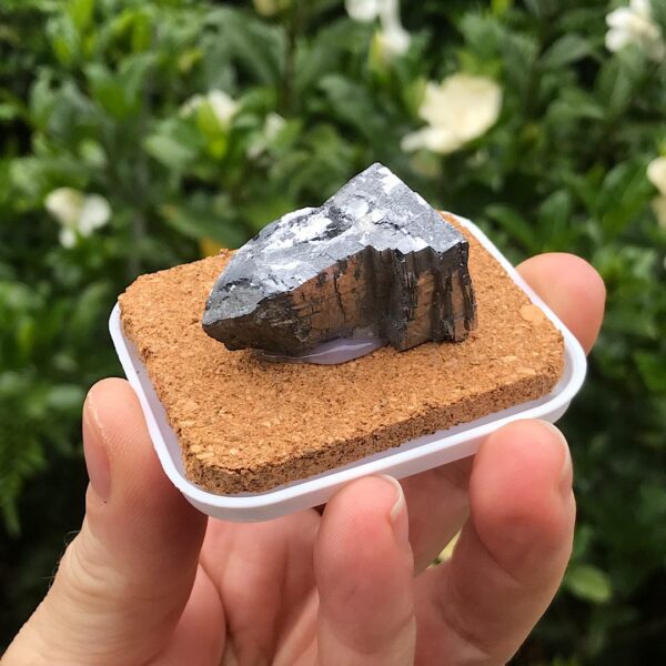 Galena Pod - Image 3