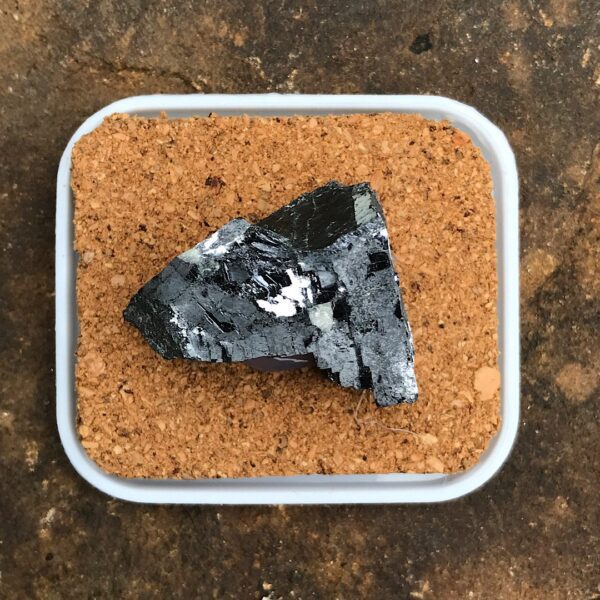 Galena Pod - Image 2