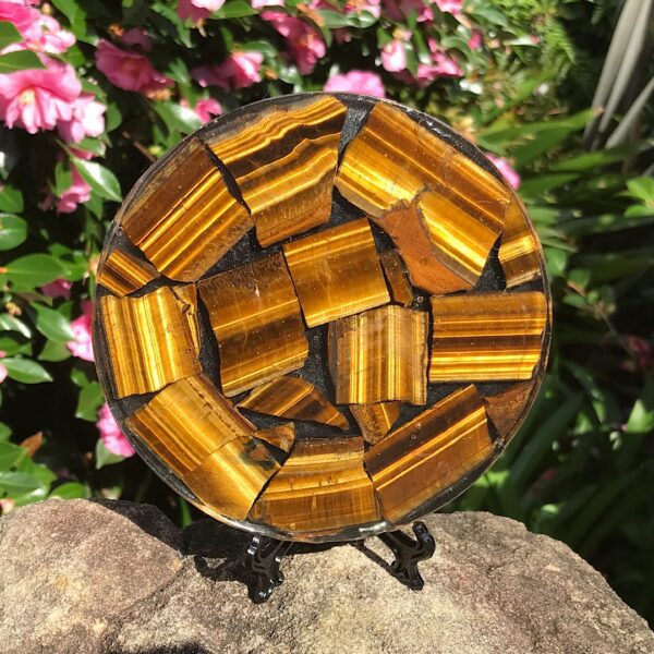 Tigers Eye Plate