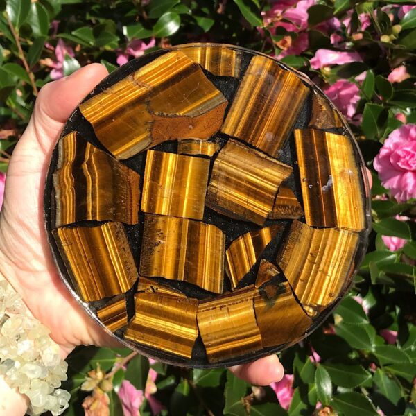 Tigers Eye Plate - Image 2