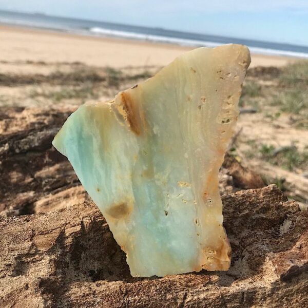 Caribbean Calcite Slab - Image 4