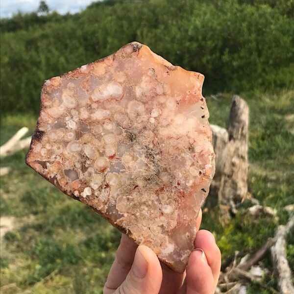 Flower Agate Slab - Image 4