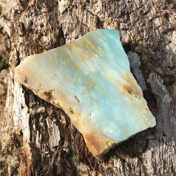 Caribbean Calcite Slab - Image 2