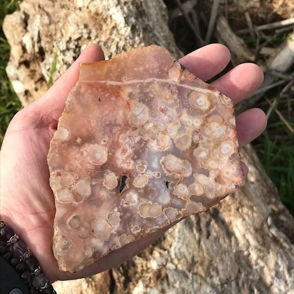 Flower Agate Slab - Image 3