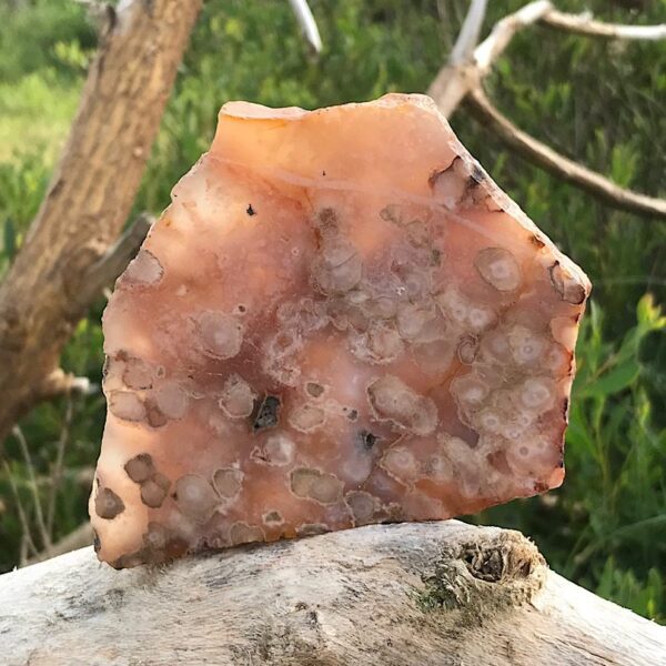 Flower Agate Slab - Image 5
