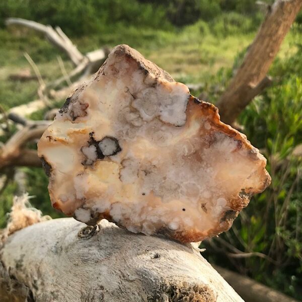 Flower Agate Slab - Image 3