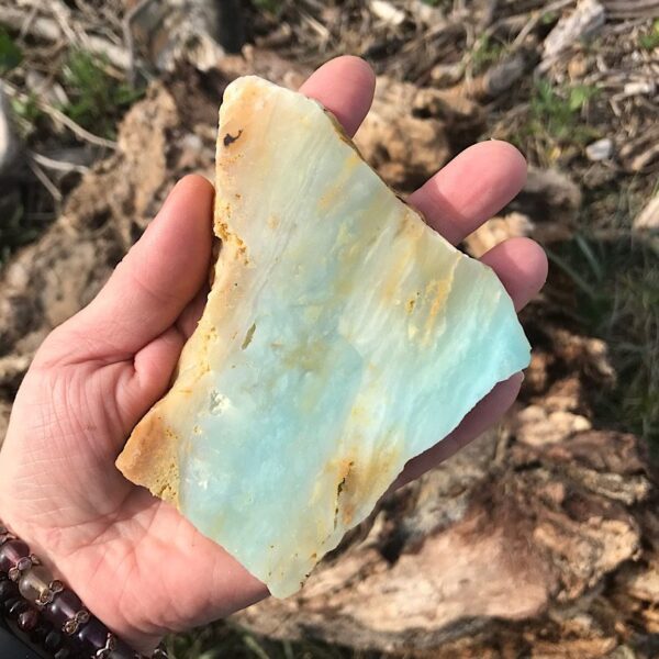 Caribbean Calcite Slab - Image 3