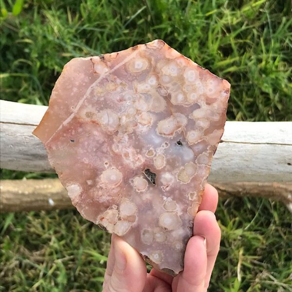 Flower Agate Slab