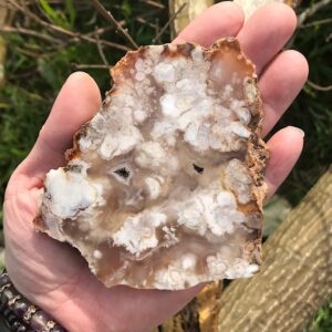 Flower Agate Slab