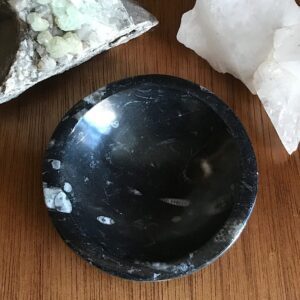Orthoceras Fossil Bowl