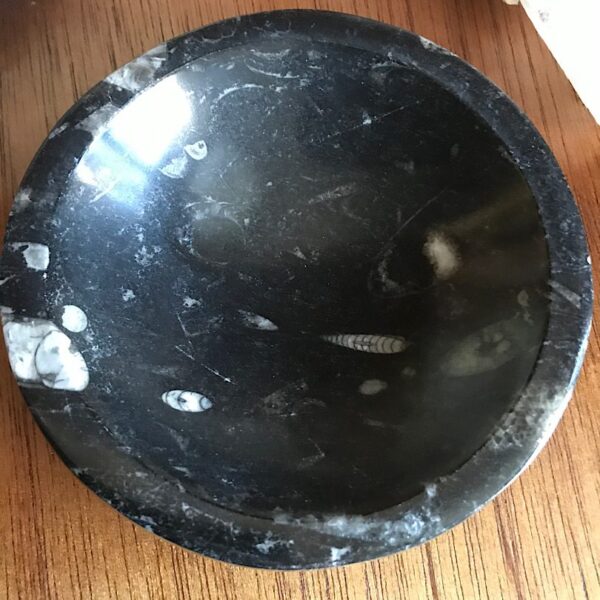 Orthoceras Fossil Bowl - Image 3