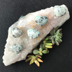 Sesame Jasper Heart