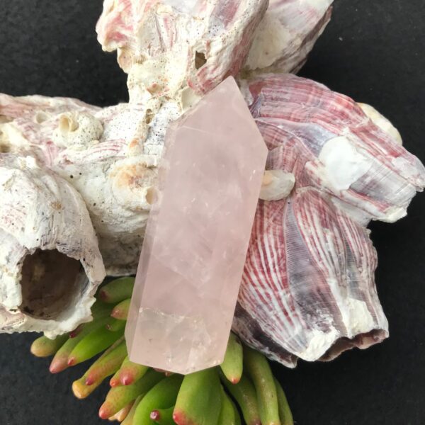 Rose Quartz Tower - Image 2