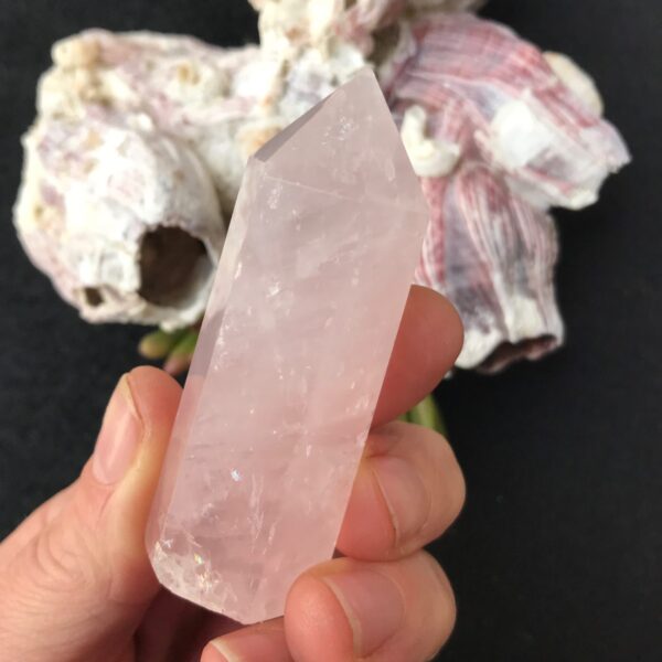 Rose Quartz Tower