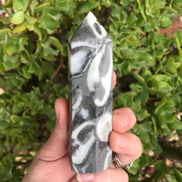 Shell Jasper Tower