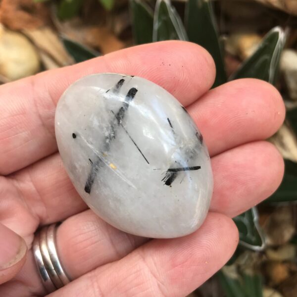 Tourmilated Quartz Palm Stone
