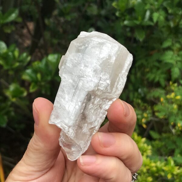 Fishtail Selenite - Image 2