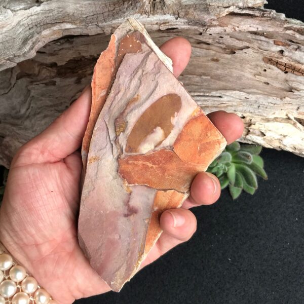 Glossopteris Fossil Leaves - Image 2