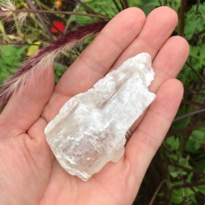 Fishtail Selenite