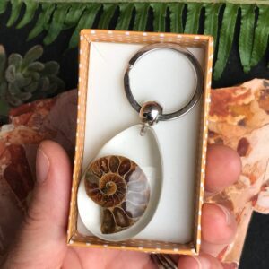 Ammonite Fossil Key Ring