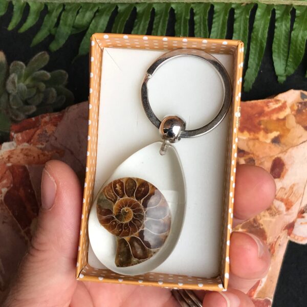 Ammonite Fossil Key Ring