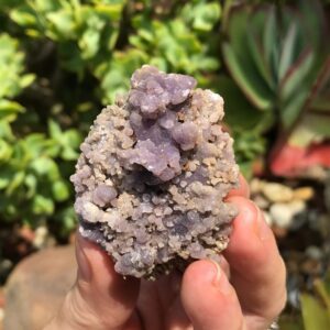 Rare Grape Agate