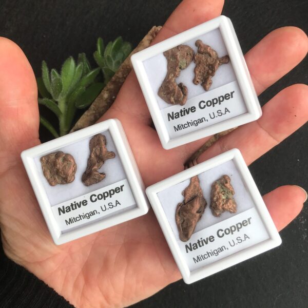 Native Copper in Box - Image 2