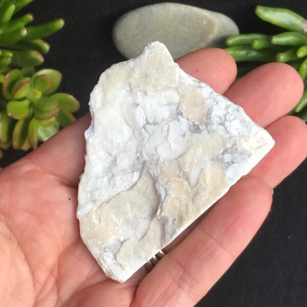 Butterfly on Howlite Slice - Image 3
