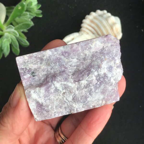 Dolphin Lepidolite Slab - Image 4