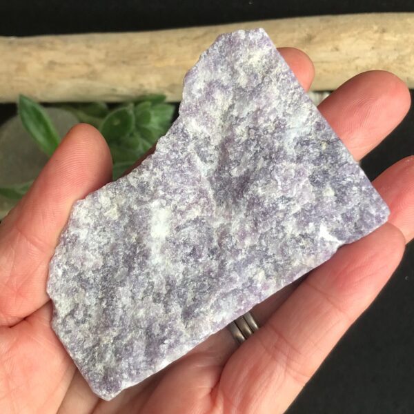 Dolphin Lepidolite Slab - Image 3