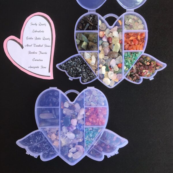 Heart and Wing Collectors Case